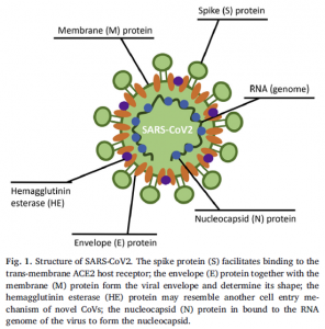Coronavirus Vaccine Tracker 2 – Schmidt Consultancy